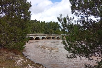 El río Lobos en el término de Santa María de las Hoyas esta semana.