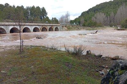 El río Lobos en el término de Santa María de las Hoyas esta semana.