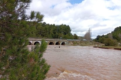 El río Lobos en el término de Santa María de las Hoyas esta semana.