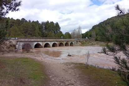 El río Lobos en el término de Santa María de las Hoyas esta semana.