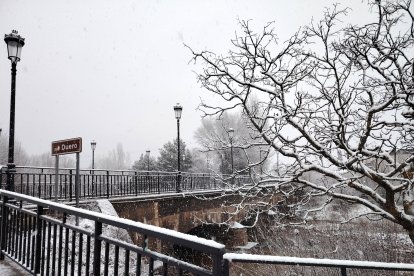 Nevada en marzo en Pinares.