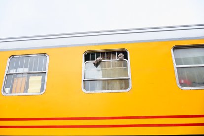 Visita de los trenes históricos del Torrenzo Express a Soria con vagones y locomotoras singulares.
