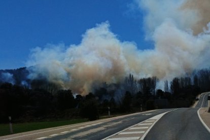 El humo del incendio visto desde la carretera.