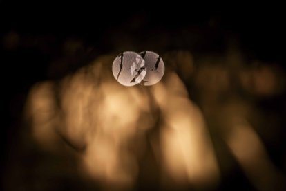 Un recorrido solemne acompañado del canto del miserere