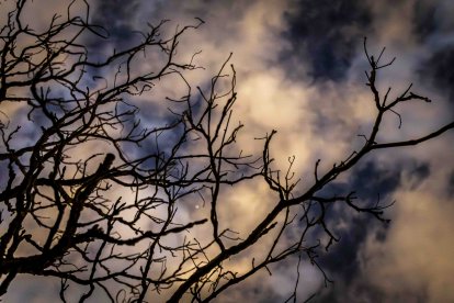 Un recorrido solemne acompañado del canto del miserere