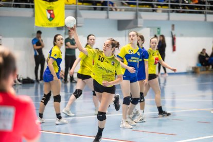 El entorno del Moncayo ha vuelto a congregar esta Semana Santa a más de 700 jugadores del balonmano.