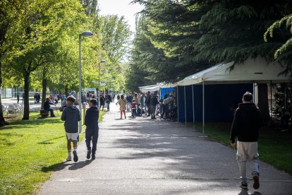 En tres pabellones se han distribuido numerosos expositores que atraen a miles de personas.