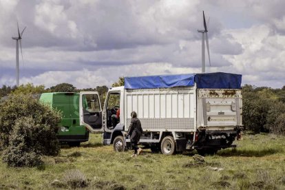 Últimas escenas de la rave