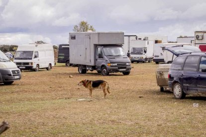 Últimas escenas de la rave
