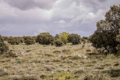 Últimas escenas de la rave