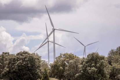 Últimas escenas de la rave