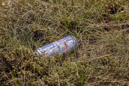 Últimas escenas de la rave