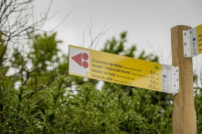 Últimas escenas de la rave