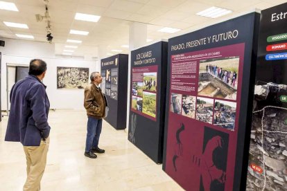 La muestra puede visitarse en el Servicio Territorial de Cultura