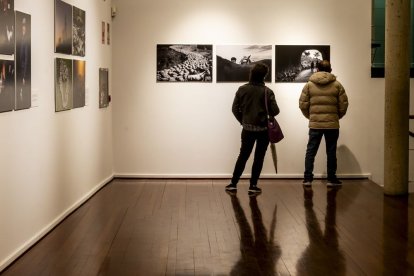 Una serie de instantáneas sobre la trashumancia