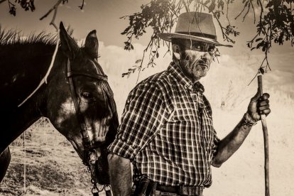 Una serie de instantáneas sobre la trashumancia