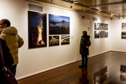 Una serie de instantáneas sobre la trashumancia