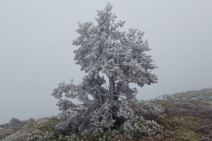 Los paisajes de Urbión encaran la segunda mitad de la primavera con aires invernales.