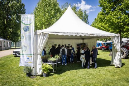 La feria regresa a La Arboleda con la habitual presencia del campo pero también de alimentación, motor o artesanía.