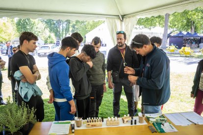 La feria regresa a La Arboleda con la habitual presencia del campo pero también de alimentación, motor o artesanía.