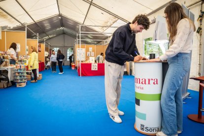 La feria regresa a La Arboleda con la habitual presencia del campo pero también de alimentación, motor o artesanía.