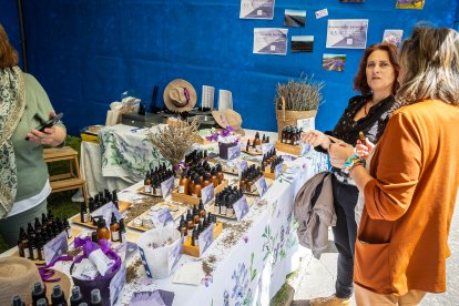 La feria regresa a La Arboleda con la habitual presencia del campo pero también de alimentación, motor o artesanía.