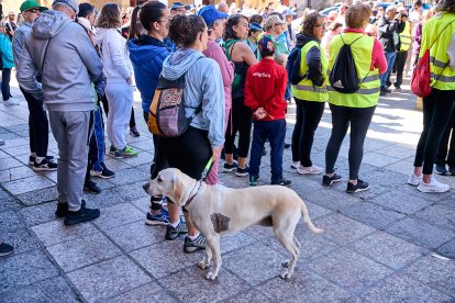 Las fotos de la marcha de Asamis que une a Soria por la integración.