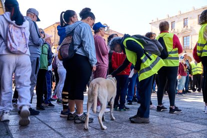 Las fotos de la marcha de Asamis que une a Soria por la integración.