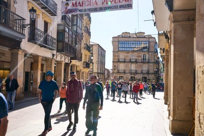 Las fotos de la marcha de Asamis que une a Soria por la integración.