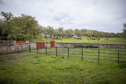 El monte Valonsadero se prepara para recibir a miles de sorianos y visitantes con la instalación de los tradicionales chiringuitos.