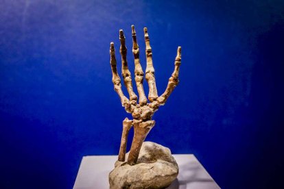 Una muestra de obras de los jóvenes artistas sorianos