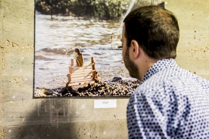 Una muestra de obras de los jóvenes artistas sorianos