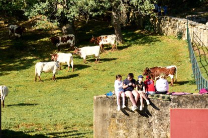 Día de fiesta en el monte con la llegada de los toros para la Saca de San Juan 2025.