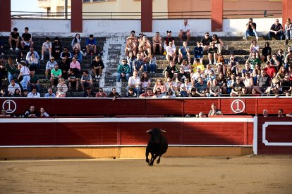 Un numeroso público desafió lo temprano de la hora para contemplar cómo son las reses a las que se enfrentarán los novilleros el Viernes de Toros.