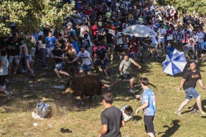 Un Lavalenguas lleno de diversión y sustos