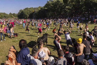 Un Lavalenguas lleno de diversión y sustos