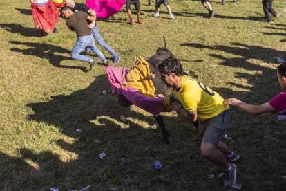 Un Lavalenguas lleno de diversión y sustos