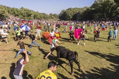 Un Lavalenguas lleno de diversión y sustos