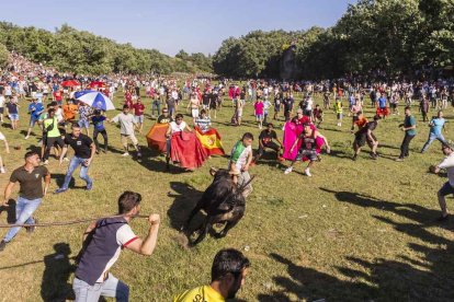 Un Lavalenguas lleno de diversión y sustos
