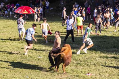 Un Lavalenguas lleno de diversión y sustos