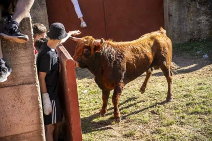 Un Lavalenguas que se disfrutó en grande en Valonsadero
