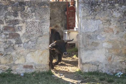 Un Lavalenguas que se disfrutó en grande en Valonsadero