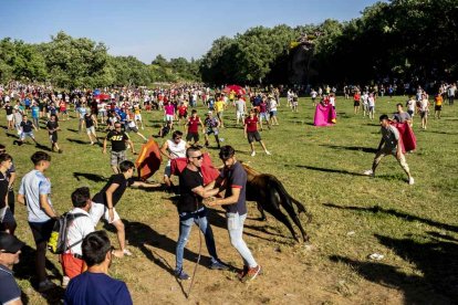 Un Lavalenguas que se disfrutó en grande en Valonsadero