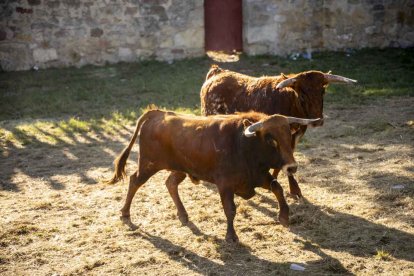 Un Lavalenguas que se disfrutó en grande en Valonsadero