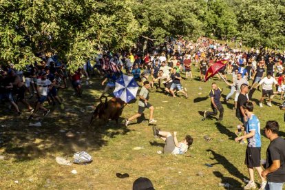 Un Lavalenguas que se disfrutó en grande en Valonsadero