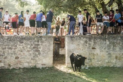 Un Lavalenguas que se disfrutó en grande en Valonsadero