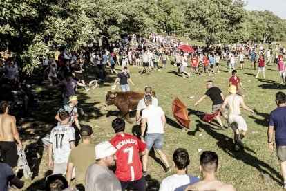 Un Lavalenguas que se disfrutó en grande en Valonsadero