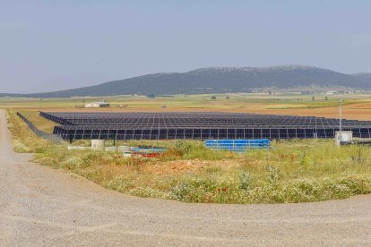 La zona cuenta con nuevas infraestructuras para el riego