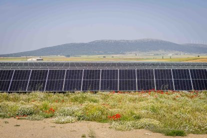 La zona cuenta con nuevas infraestructuras para el riego