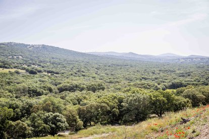 La zona cuenta con nuevas infraestructuras para el riego